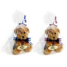 Load image into Gallery viewer, Aroma Sitting Bears, Assorted
