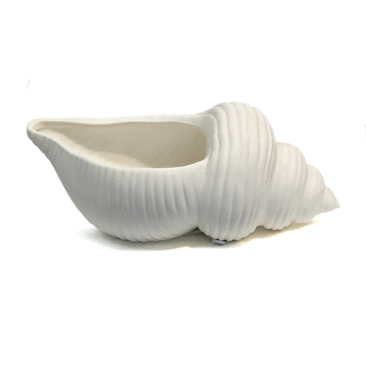 Planter, White Conch Shell
