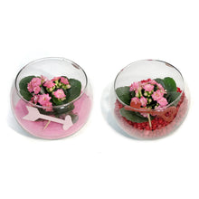 Load image into Gallery viewer, Valentines Planter, Heart Of Glass Garden In Bag
