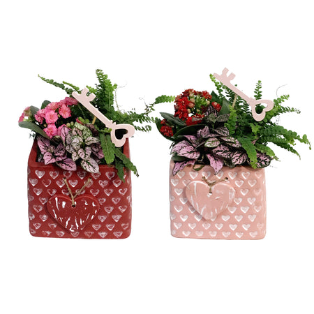 Valentines Planter, Devotion Bags, Assorted