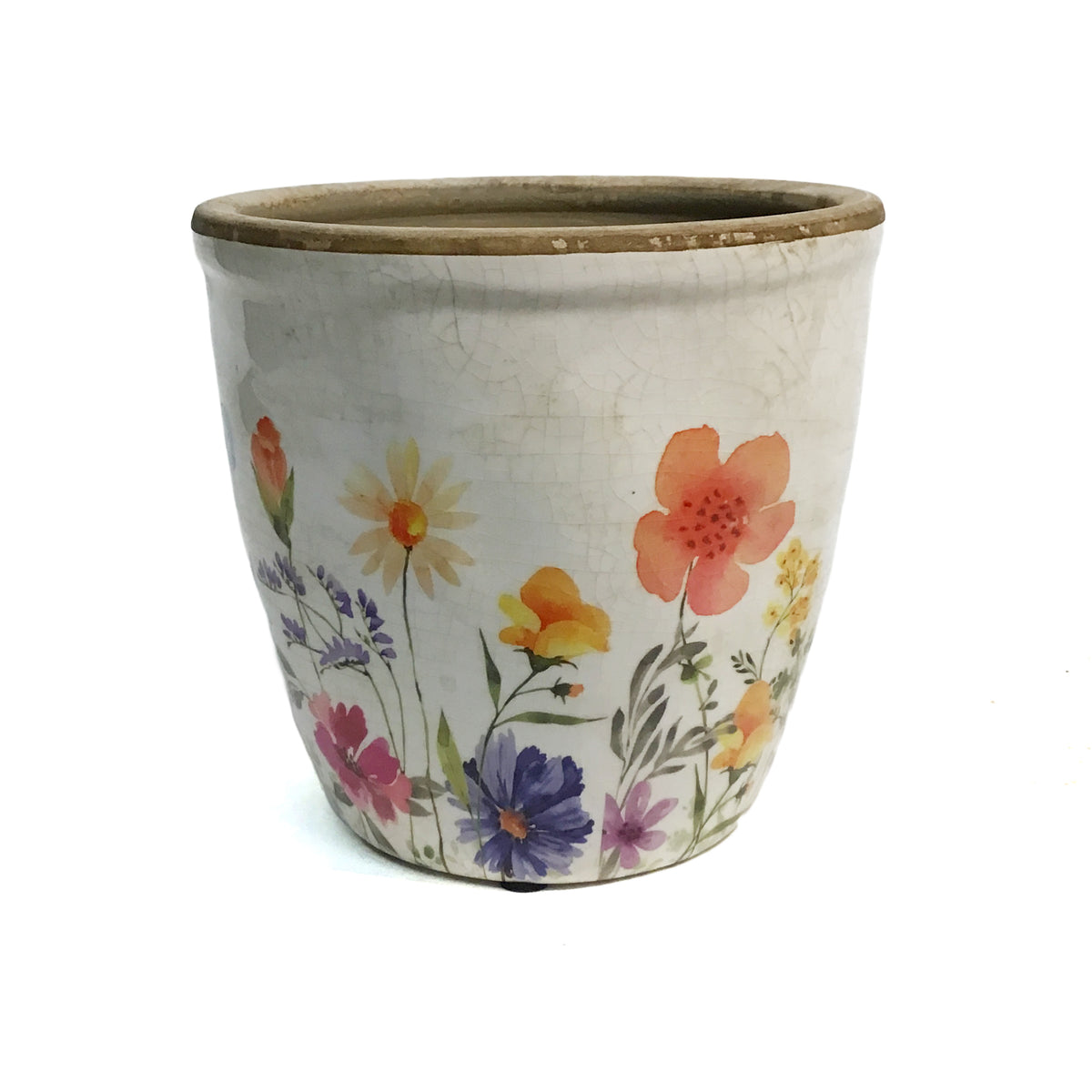 Pot, 6in, Ceramic, Wild Flowera