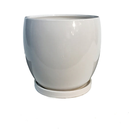 Pot, 6in, Ceramic, Glossy White W/ Saucer, Amera
