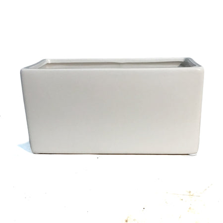 Pot, 8x4in Ceramic, White Matte, Rectangle