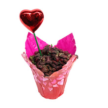 Load image into Gallery viewer, 4in Valentines Planter Fittonia
