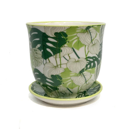 Pot, 3in, Porcelain Liberte, Monsteras, W/ Sauce