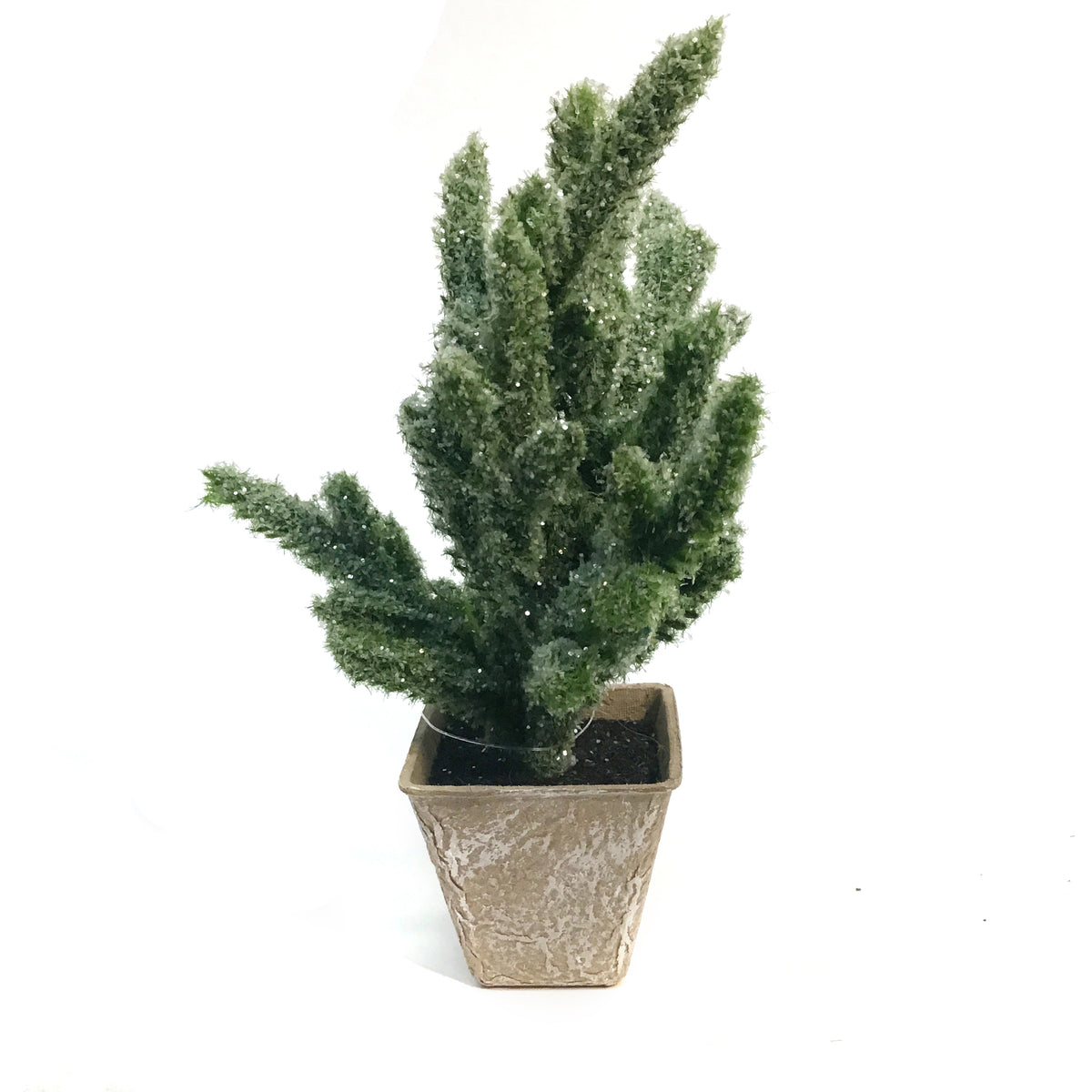 Decor, Mini Trees, 6 Assorted