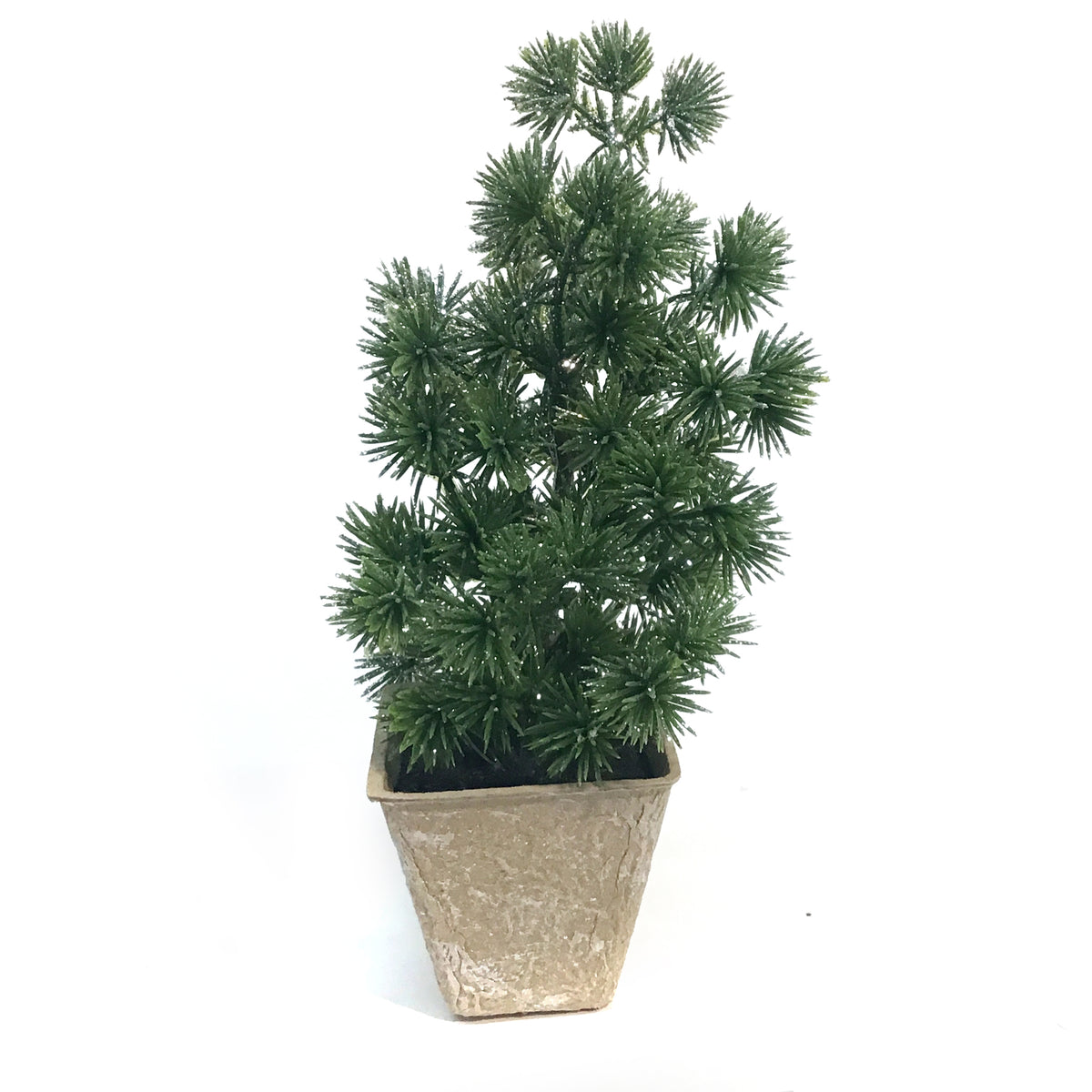 Decor, Mini Trees, 6 Assorted