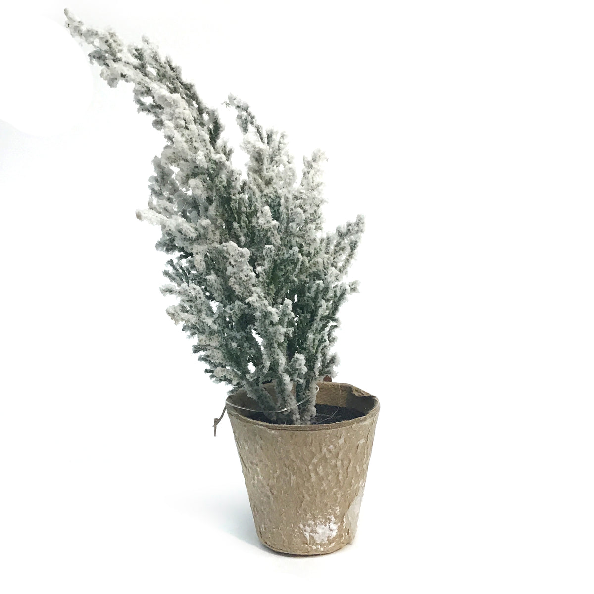 Decor, Mini Trees, 6 Assorted