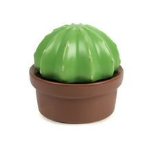 Load image into Gallery viewer, House Plant Butter Storage
