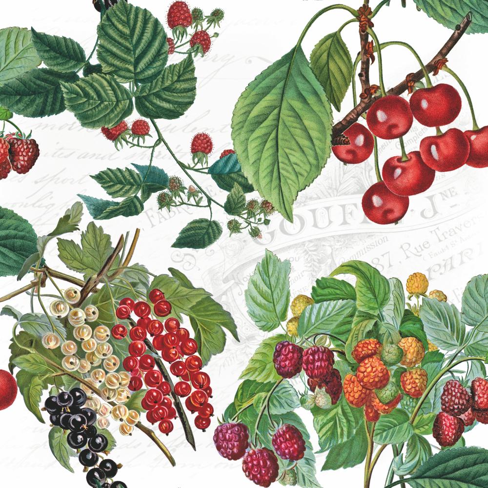Paper Cocktail Napkin, 20 Count, Fresh Fruits