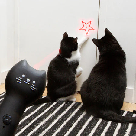 Laser Pointer, Pounce & Play, Rechargeable