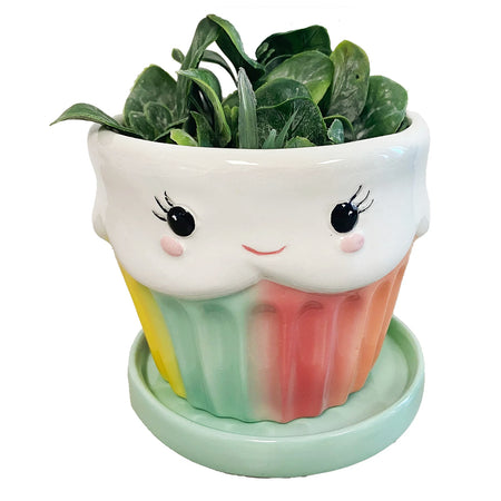Planter, Ceramic, Rainbow Mini Cupcake