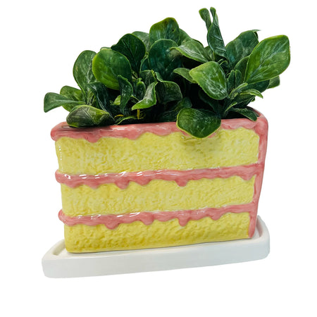 Planter, Ceramic, Cake Slice, Pink