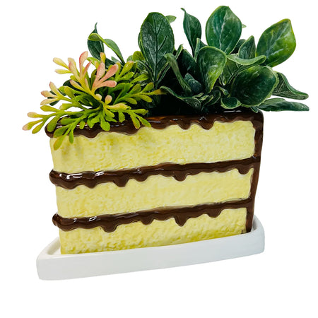 Planter, Ceramic, Cake Slice, Choco