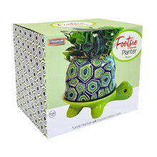 Load image into Gallery viewer, Planter, Ceramic, Footed Turtle
