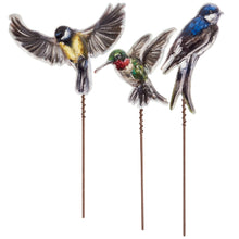 Load image into Gallery viewer, Plant Picks, Garden Birds, 3 Assorted
