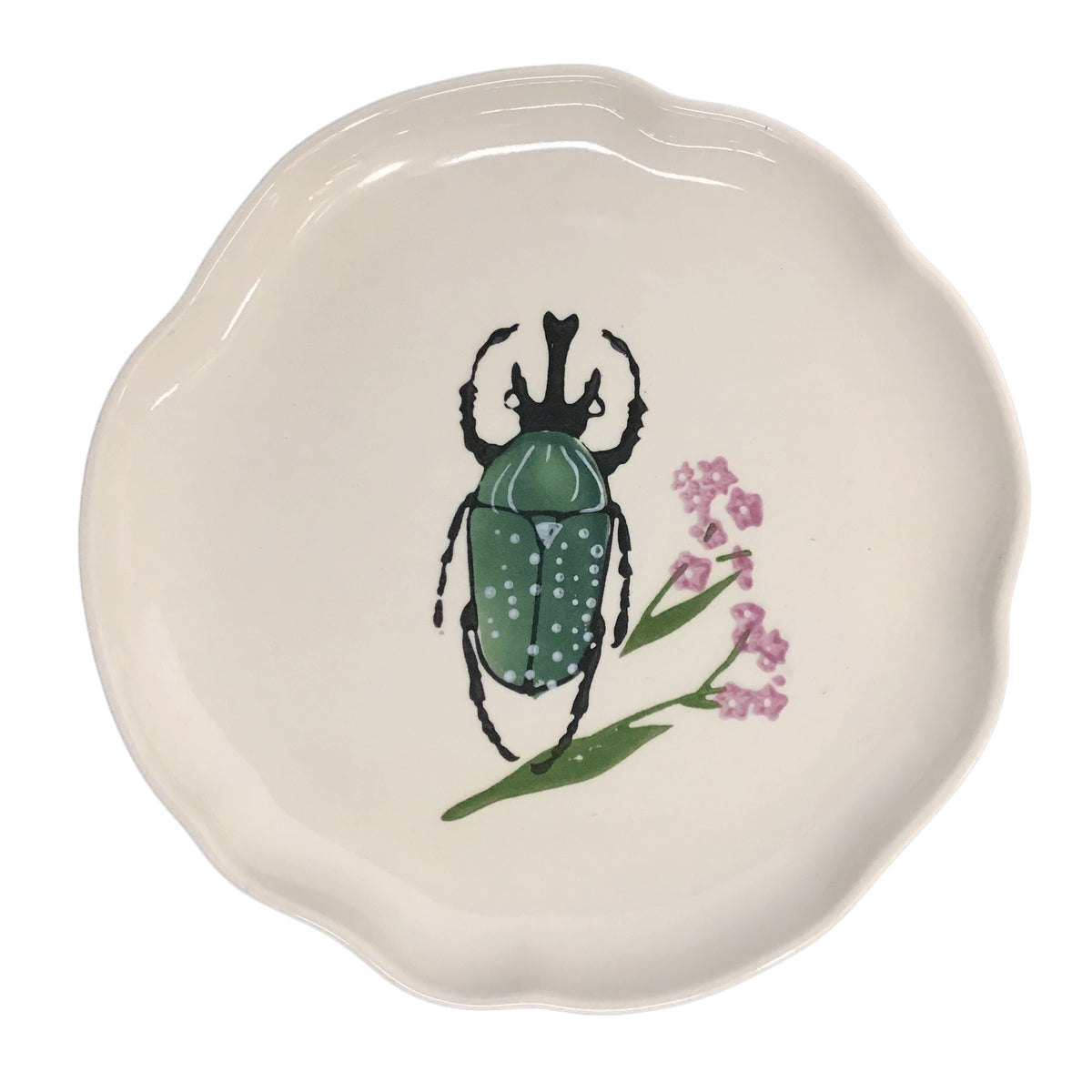 Plates, Botanical Beetles