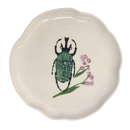 Plates, Botanical Beetles