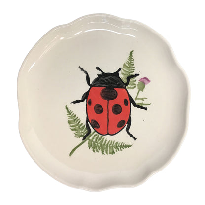 Plates, Botanical Beetles