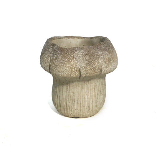 Pot, 5in, Cement, Mushroom