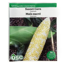 Load image into Gallery viewer, Sweet Corn - Espresso Seeds, OSC Large Pack
