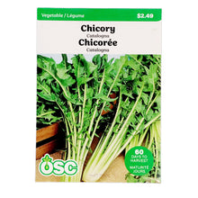 Load image into Gallery viewer, Chicory - Catalogna Seeds, OSC
