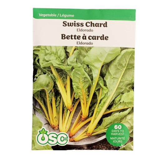 Swiss Chard - Eldorado Seeds, OSC