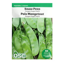 Load image into Gallery viewer, Snow Pea-Oregon Sugar Pod II Seeds, OSC
