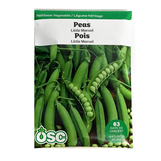 Pea - Little Marvel Seeds, OSC