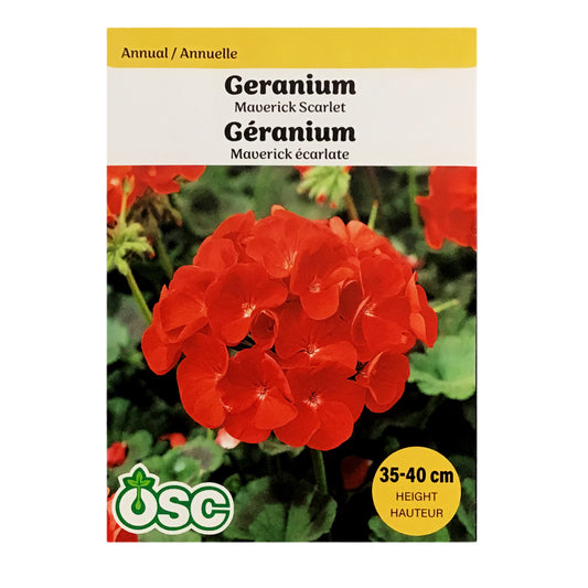 Geranium - Maverick Scarlet Seeds, OSC