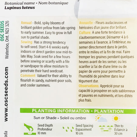 Lupin - Golden Yellow Seeds, OSC