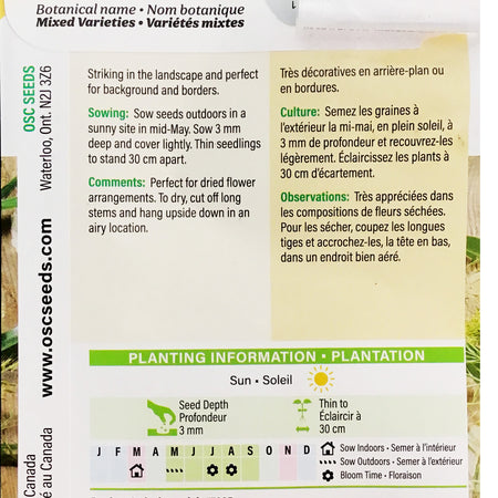 Ornamental Grass - Annual Mix Seeds, OSC