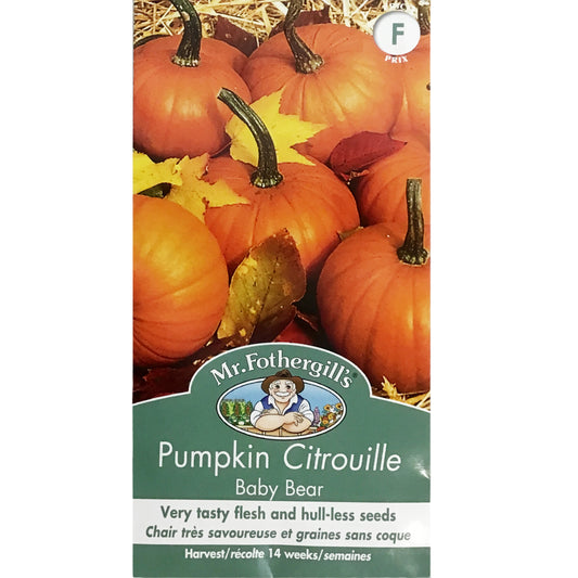 SEEDS- Pumpkin baby Bear, Mr Fothergill's