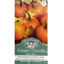 Load image into Gallery viewer, SEEDS- Pumpkin baby Bear, Mr Fothergill's
