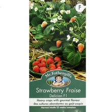 Load image into Gallery viewer, Strawberry - Delician F1 Seeds, Mr Fothergill's
