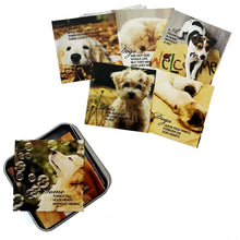 Load image into Gallery viewer, Note Cards, Pets, 60pk

