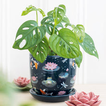 Load image into Gallery viewer, Pot, Pond &amp; Toad
