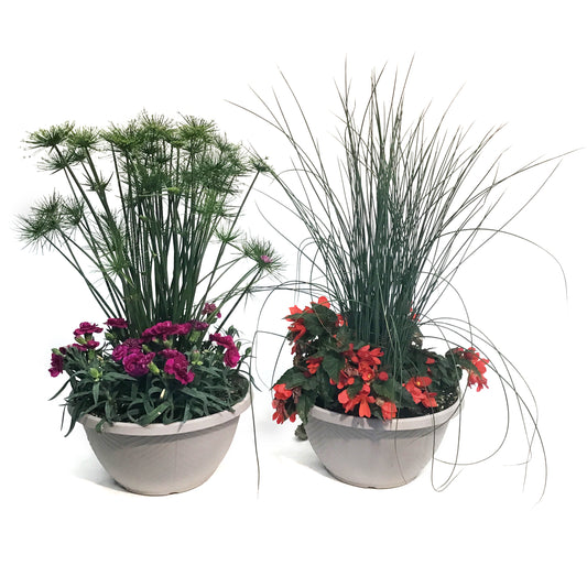 Planter, 10in, Bowl, Assorted