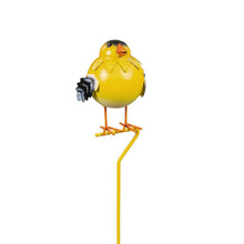 Load image into Gallery viewer, Plant Pick, What She Shed Birds,3 Assorted
