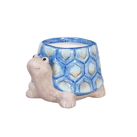 Pot, Ceramic, 3in, Mini Turtle, 3 Assorted