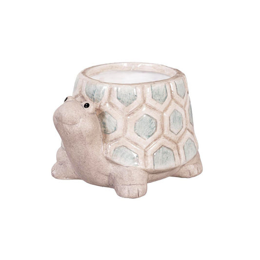 Pot, Ceramic, 3in, Mini Turtle, 3 Assorted