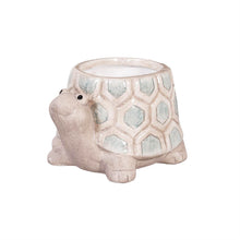 Load image into Gallery viewer, Pot, Ceramic, 3in, Mini Turtle, 3 Assorted
