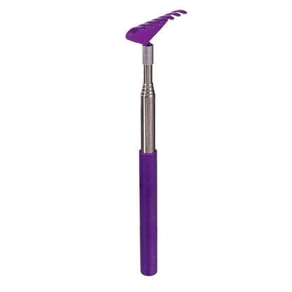 Extendable Backscratcher, 4 Assorted
