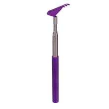 Load image into Gallery viewer, Extendable Backscratcher, 4 Assorted
