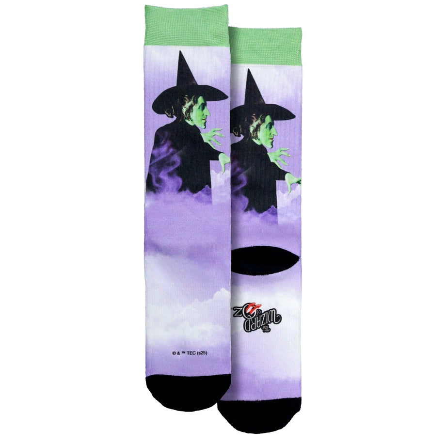 Socks, Wicked Witch