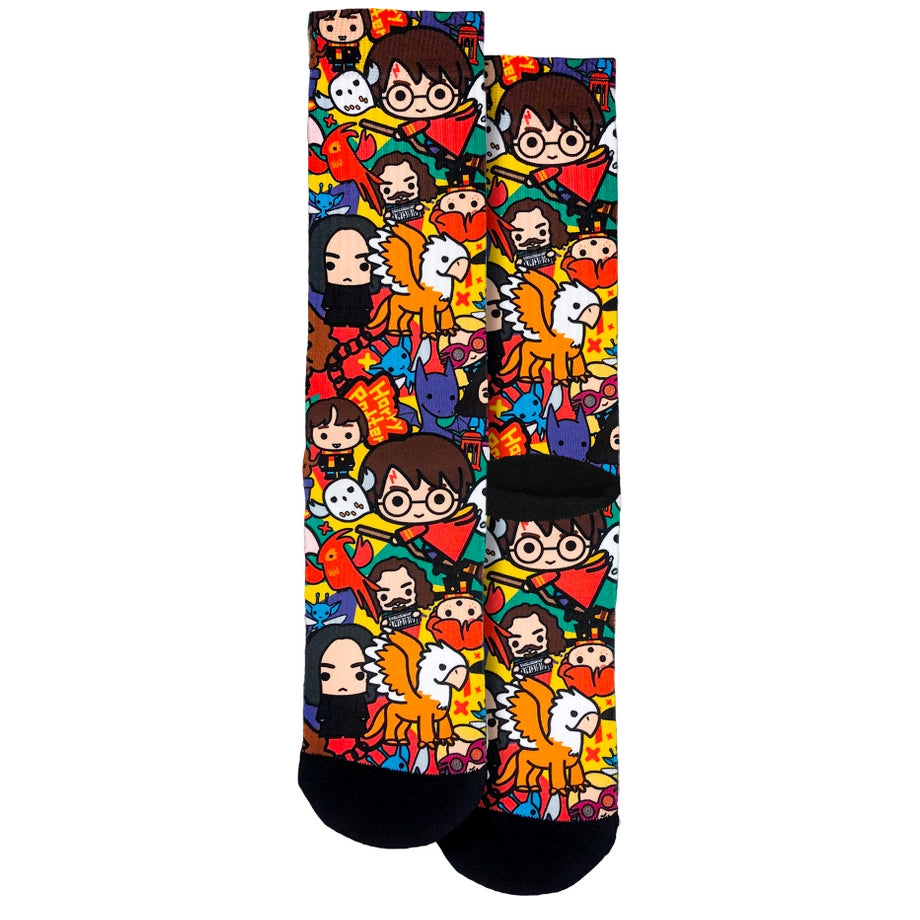 Socks, Harry Potter