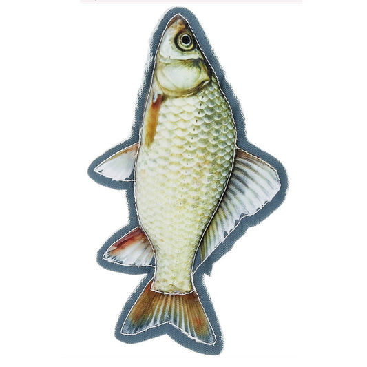 Dog Toy, Fish