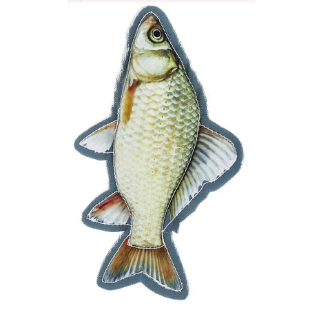 Dog Toy, Fish