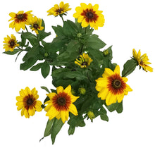 Load image into Gallery viewer, Planter, 9in, In&amp;Out OPV Sunbeckia
