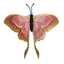Load image into Gallery viewer, Decor, Magnetic Lunan Moths, 6 Assorted
